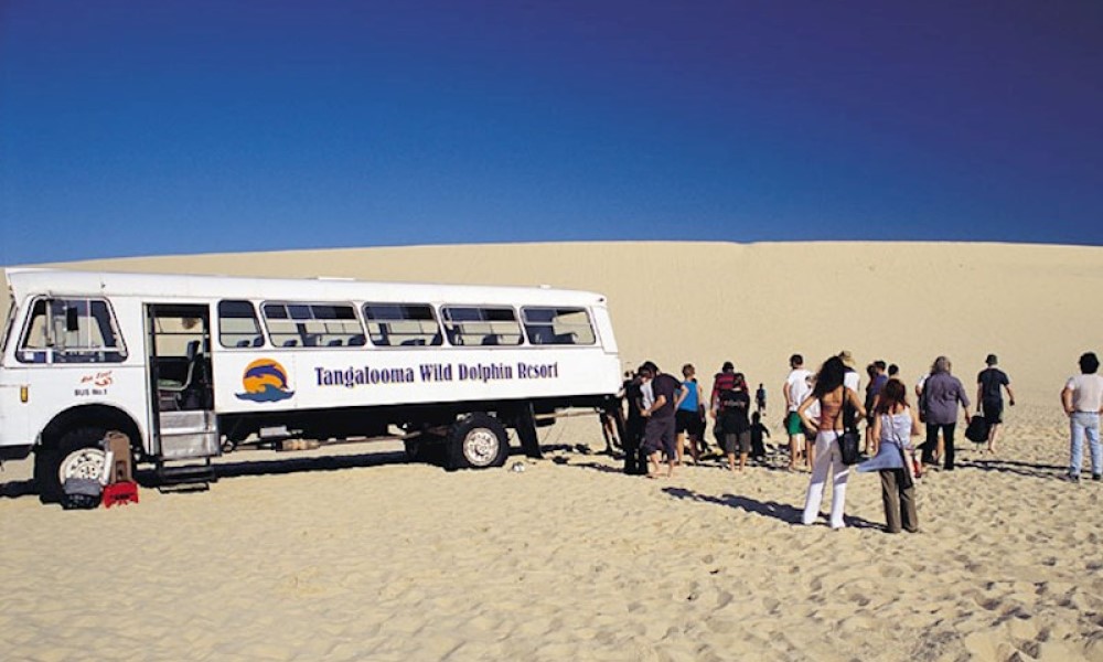 Tangalooma Island Desert Safari Tour with Sand Tobogganing