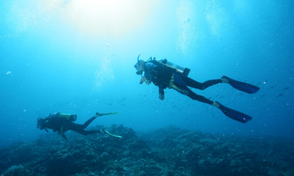 Airlie Beach 3 Days Padi® Advanced  Diving Certification