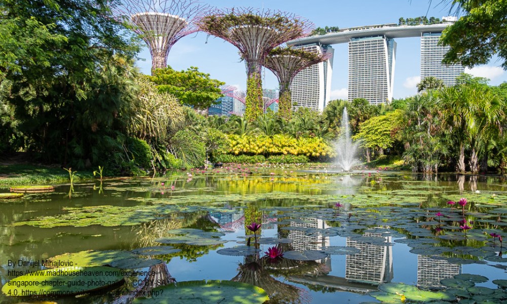 新加坡滨海湾花园之旅 (含往返接送服务)