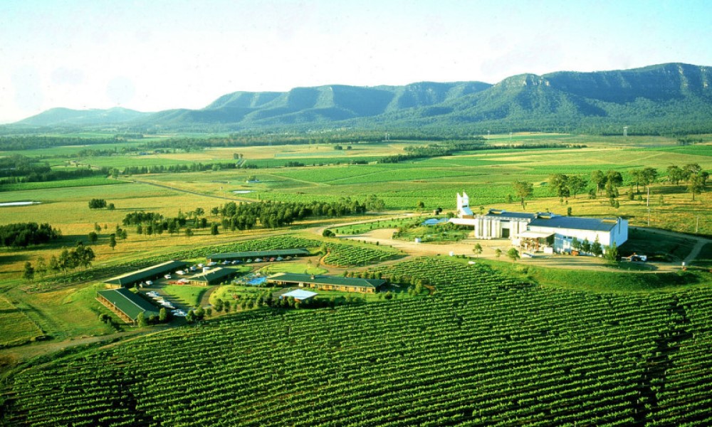 [Small Group] Full Day Hunter Valley Chinese Tour