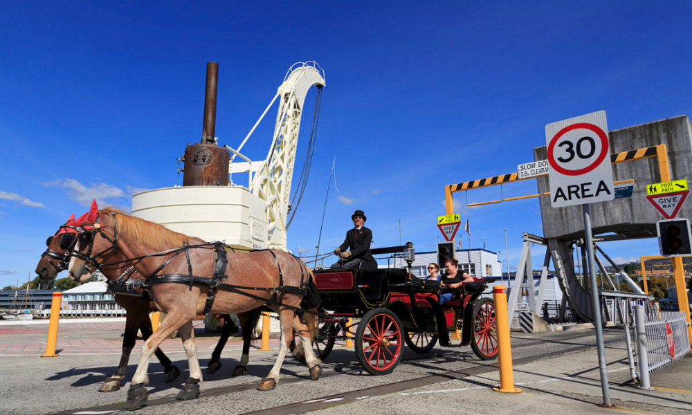 Tasmania City Carriage Sightseeing Romantic Experience