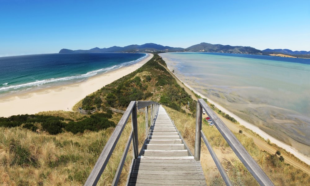 Full Day Bruny Island Chinese Tour