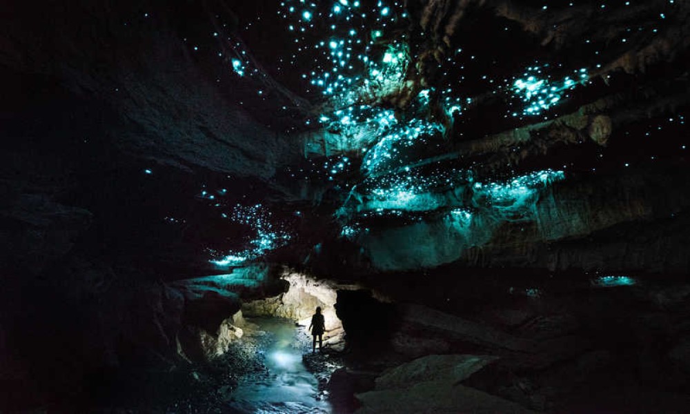 Te Anau Glowworm Caves (Option w Queentowns RT)