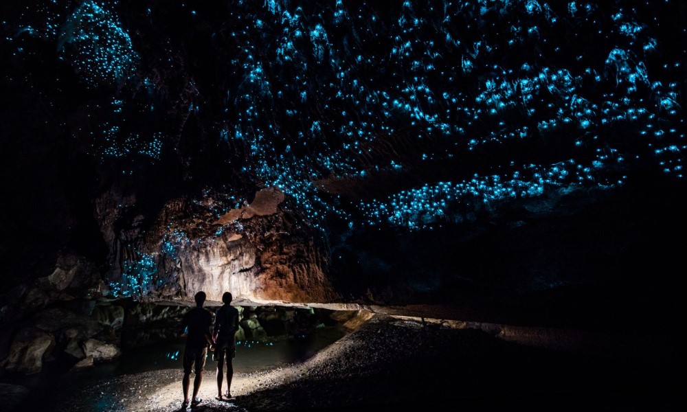 Waitomo Glow Worm Caves (Options w BBQ/ Multi Caves Package)